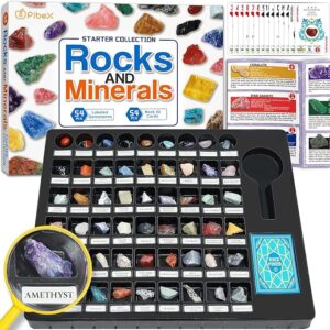 子供用ロックコレクション 54個 本物の宝石 鉱物 クリスタルキット 学習ガイド付き 宝石教育セット