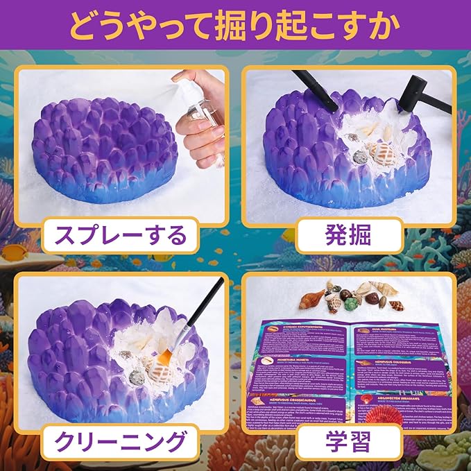 海洋化石掘削キット 20以上の本物の貝殻や巻貝を掘り起こし STEM教育活動セット - 画像 (4)