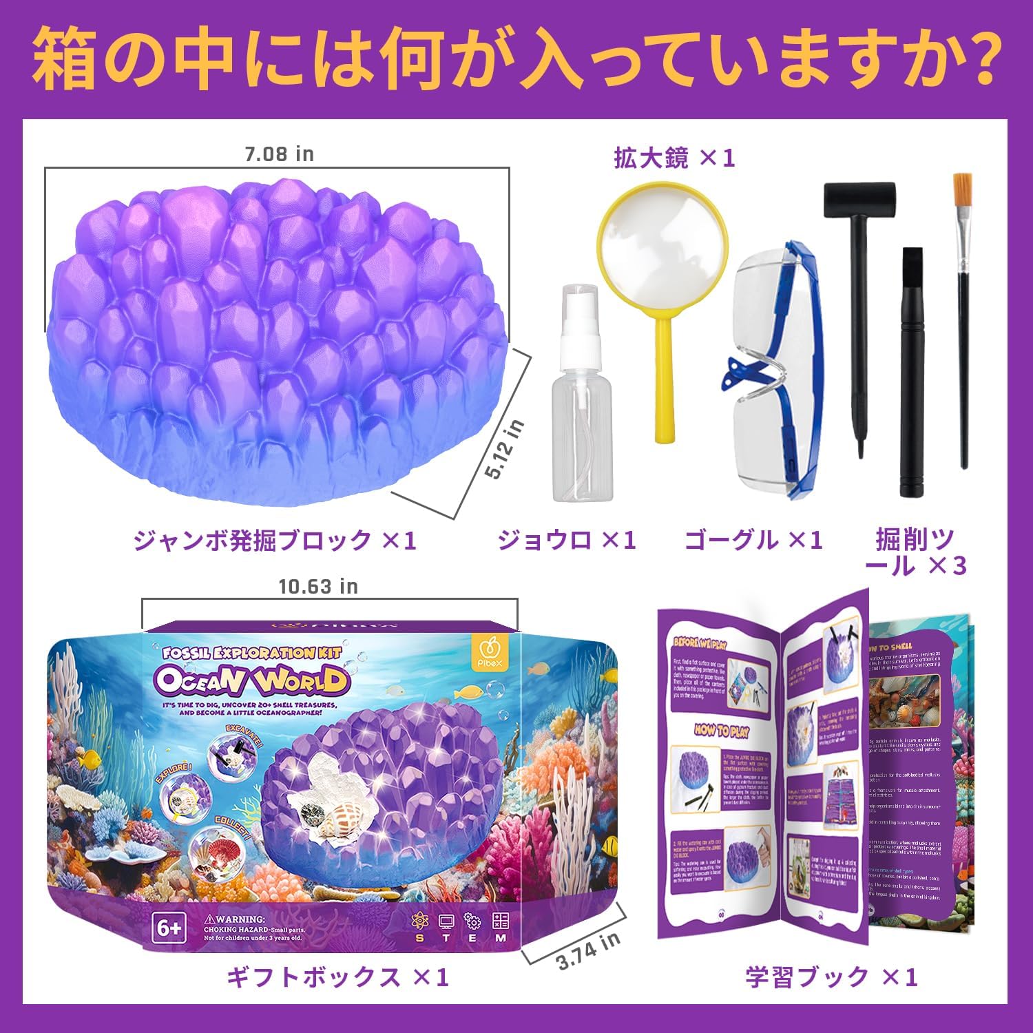海洋化石掘削キット 20以上の本物の貝殻や巻貝を掘り起こし STEM教育活動セット - 画像 (3)