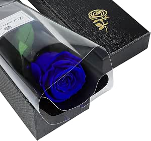 プリザーブドフラワー 一輪のバラ プレゼント 誕生日 ギフト【ローズ ザ・ワン】贈り物 枯れない花 記念日 卒業式 退職 お祝い 結婚式 彼女 母の日