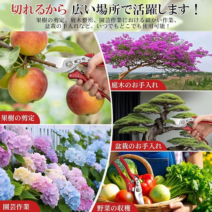 剪定バサミ - 画像 (5)